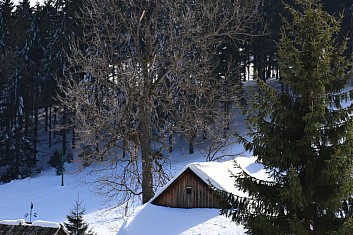 Zasněžené Bařiny