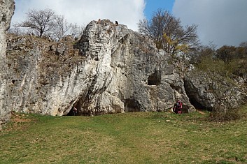 Kolíbky