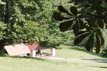Obora - polední siesta