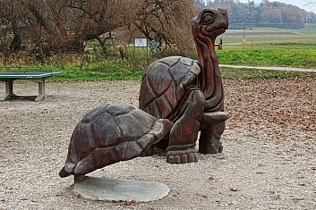 dřevěné sochy želvy u rybníku Pardoubek