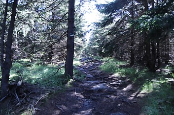 Krkonošské zátiší.