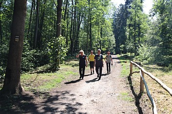 Park v Lázních Bělohrad.
