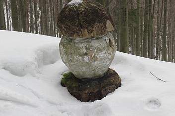 Daly se i sbírat hřiby.